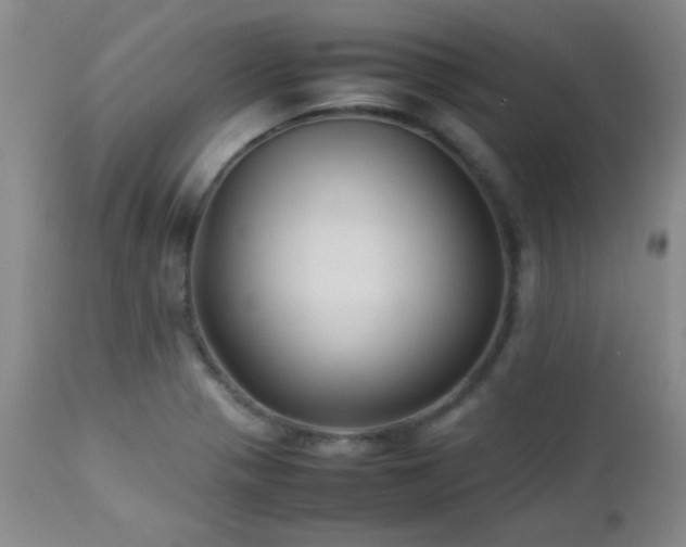 X0000113041321200908271456