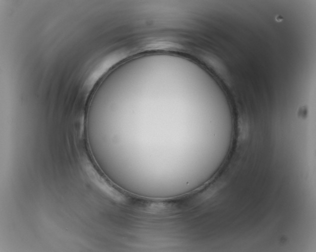 X0000113041322200908271456
