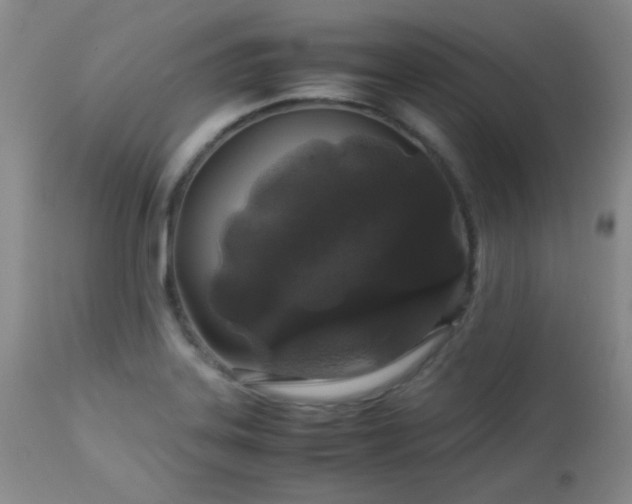 X0000113041323200908271456