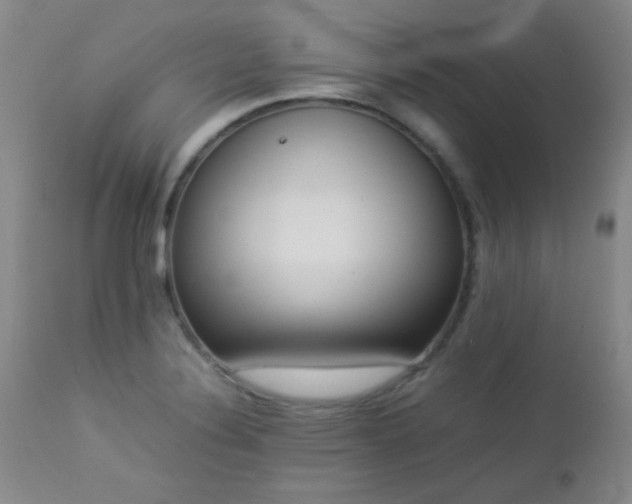 X0000113041324200908271456