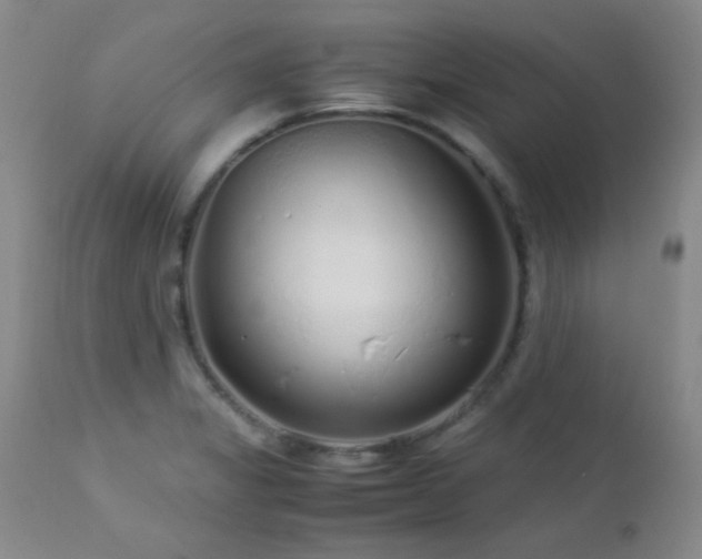 X0000113041325200908271456