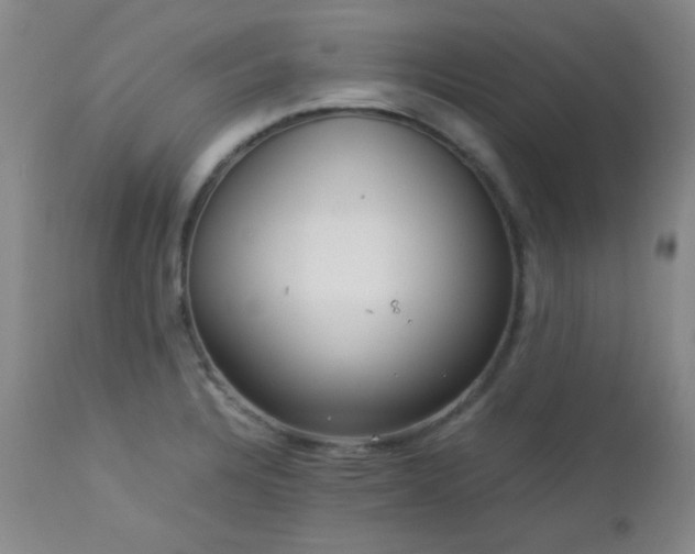 X0000113041328200908271456