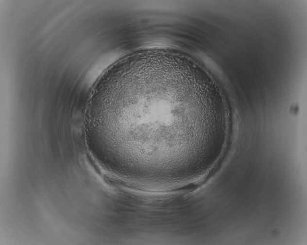 X0000113041329200908271456