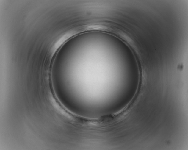 X0000113041330200908271456