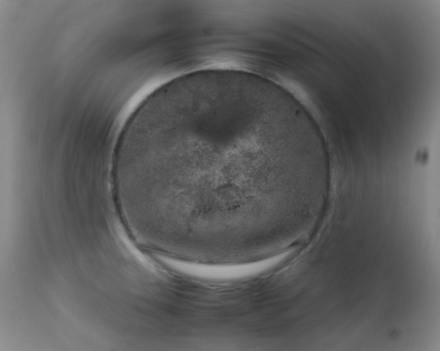X0000113041331200908271456