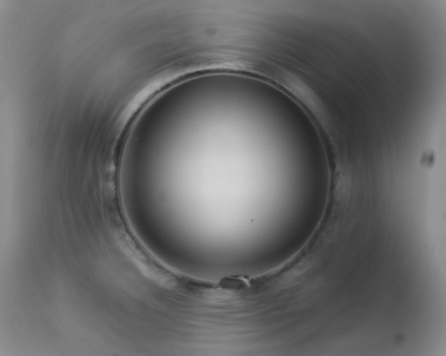 X0000113041332200908271456
