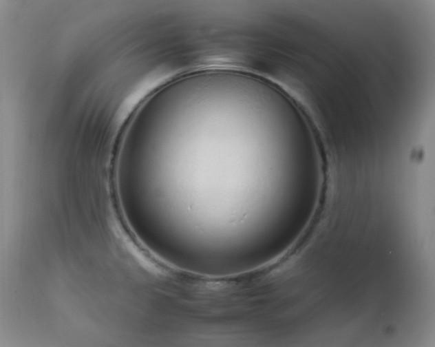 X0000113041333200908271456
