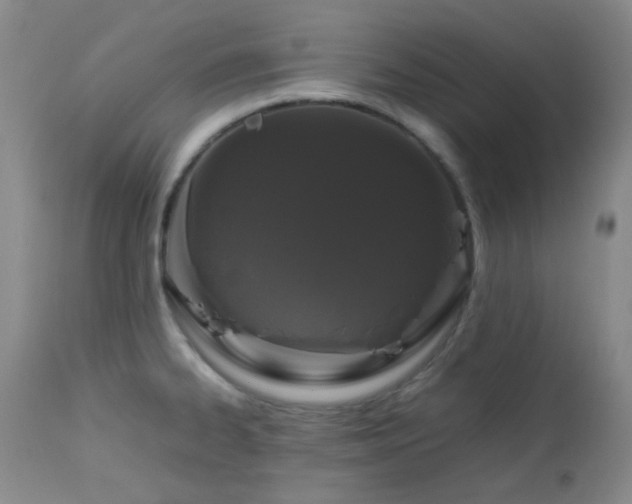 X0000113041334200908271456