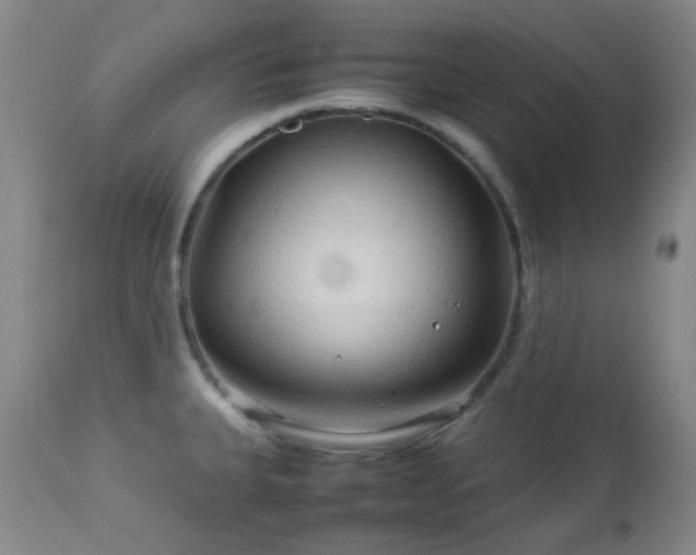 X0000113041335200908271456