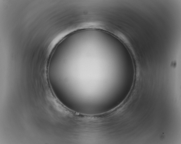 X0000113041336200908271456