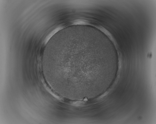 X0000113041337200908271456
