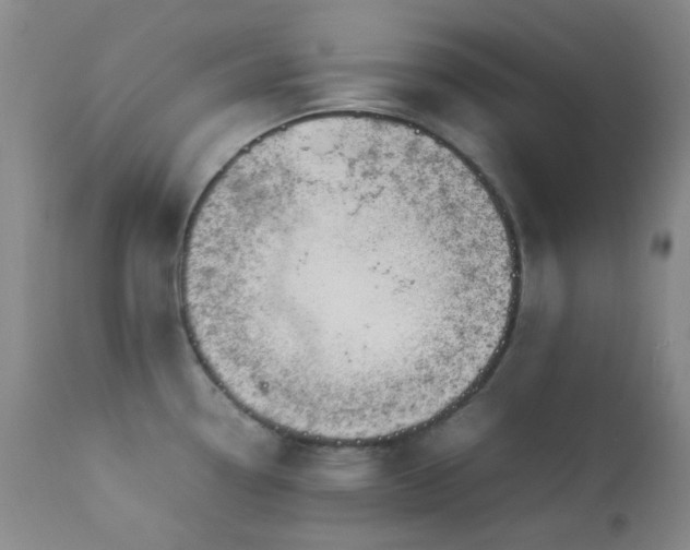 X0000113041338200908271456