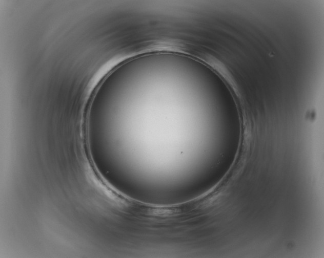 X0000113041339200908271456