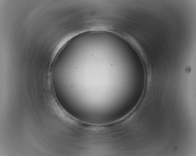 X0000113041340200908271456