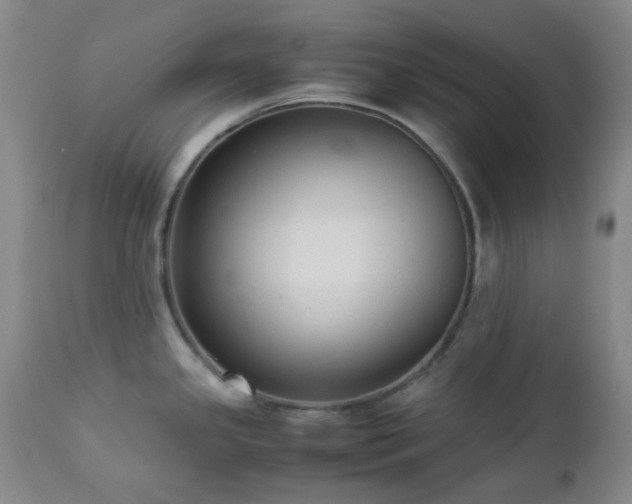 X0000113041341200908271456