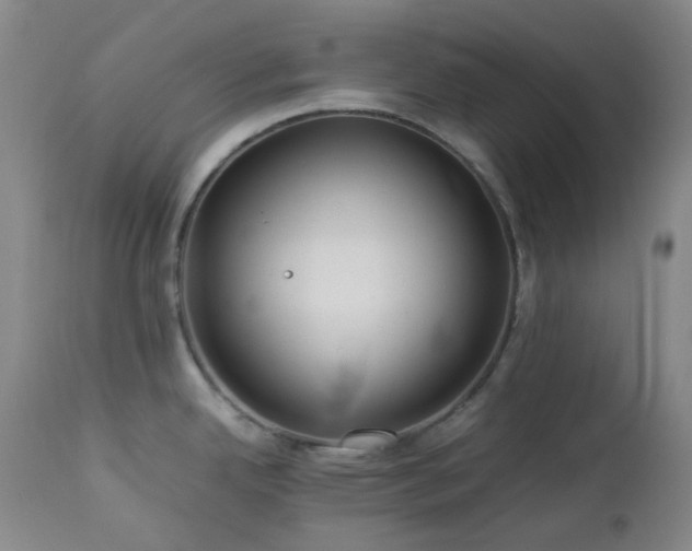 X0000113041342200908271456