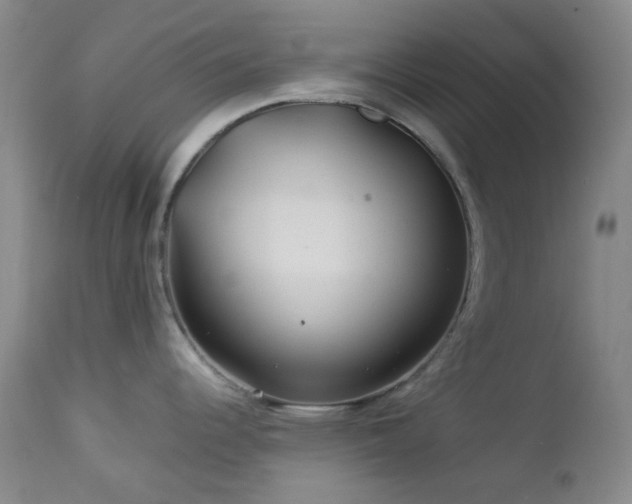 X0000113041344200908271456