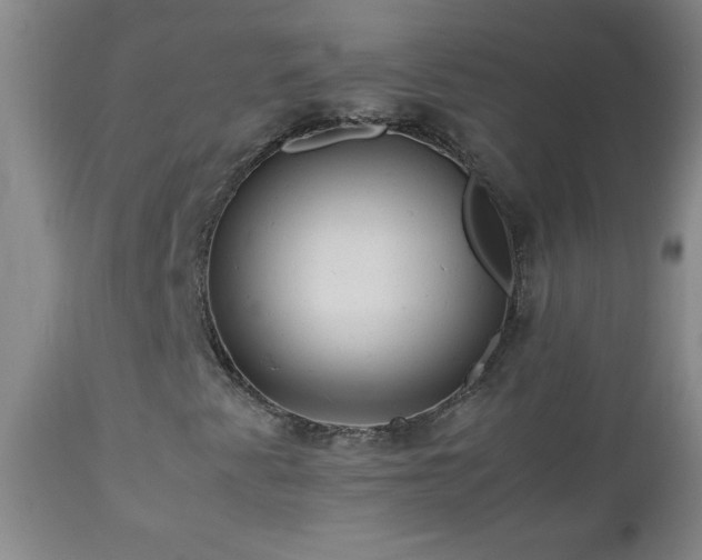 X0000113041345200908271455
