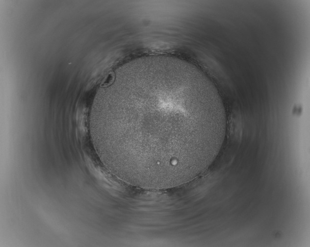 X0000113041346200908271455