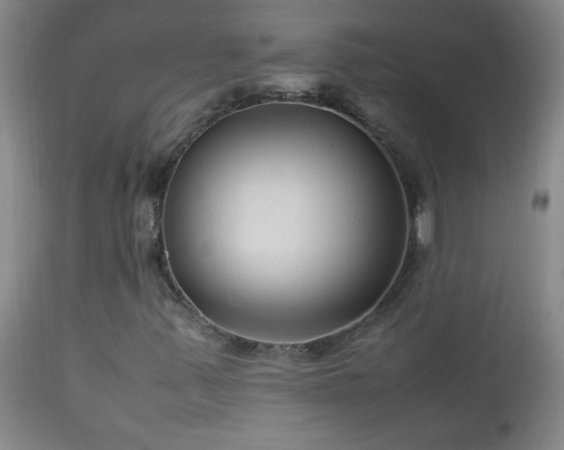 X0000113041347200908271455