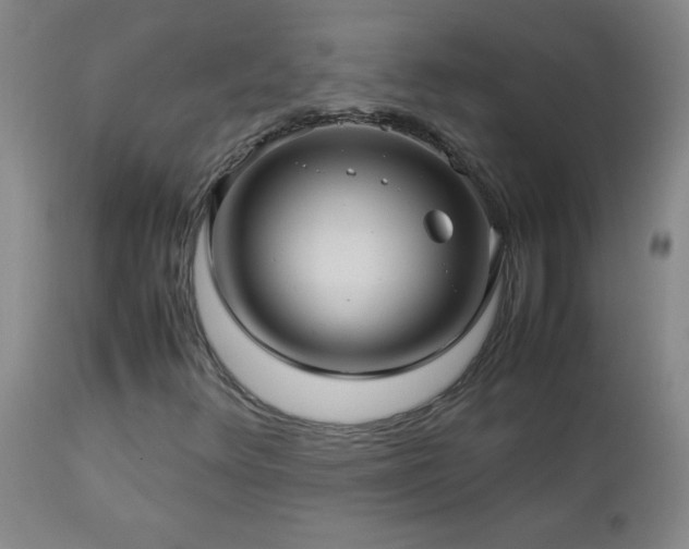 X0000113041348200908271455