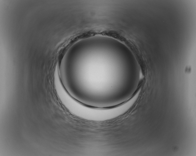X0000113041349200908271455