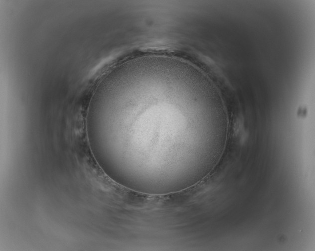 X0000113041350200908271455
