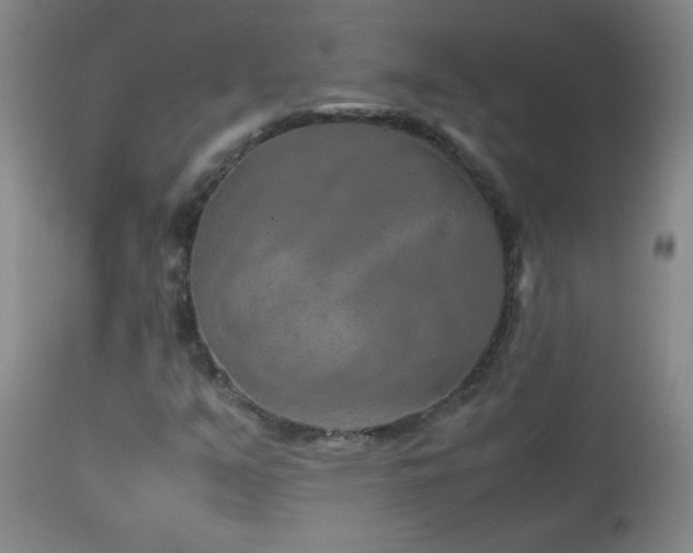 X0000113041351200908271455