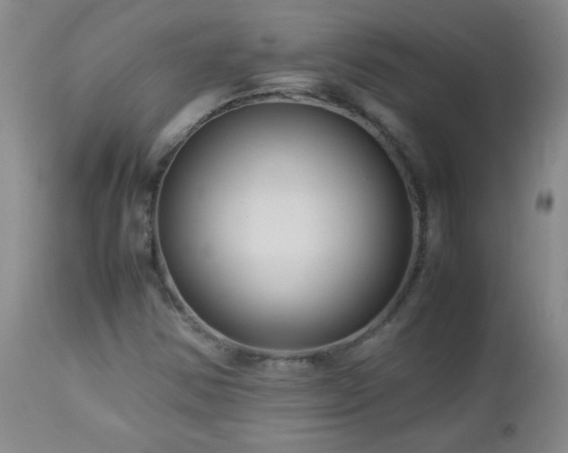 X0000113041354200908271455