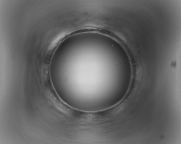 X0000113041355200908271455