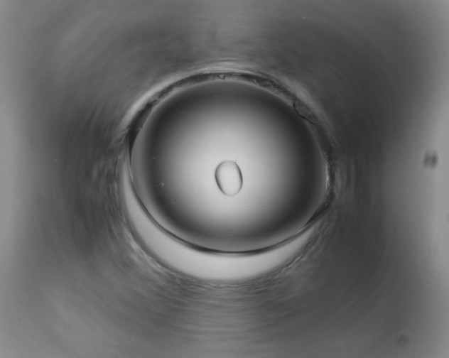 X0000113041356200908271455