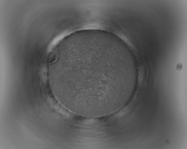 X0000113041358200908271455