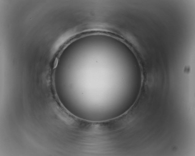 X0000113041360200908271455