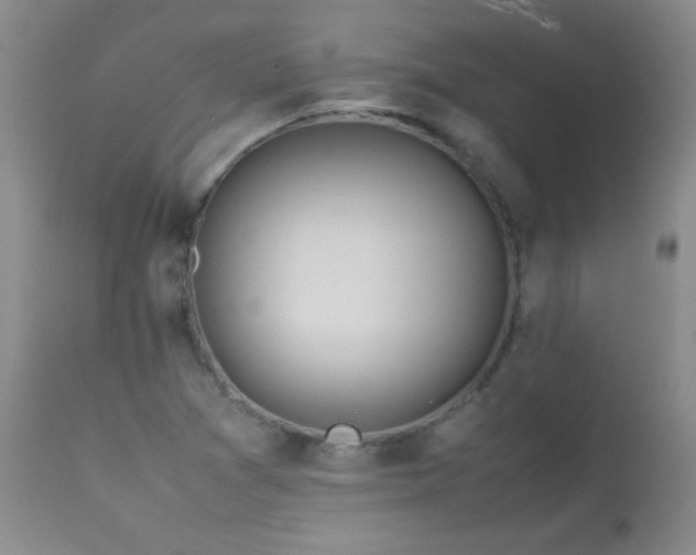 X0000113041361200908271455
