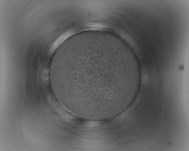 X0000113041362200908271455