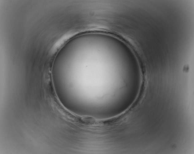 X0000113041363200908271455