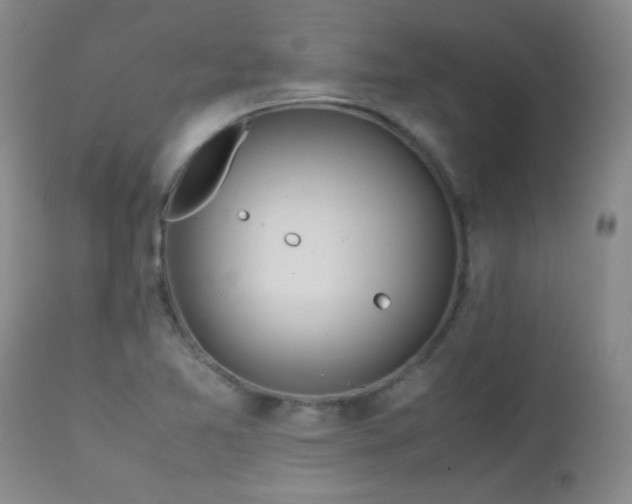 X0000113041365200908271455