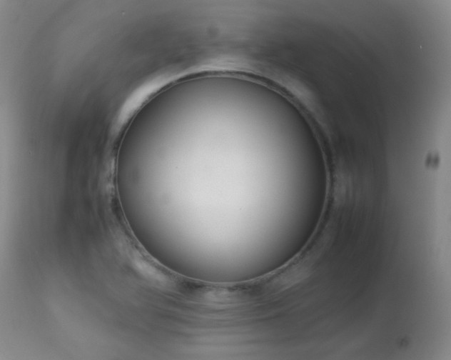 X0000113041366200908271455