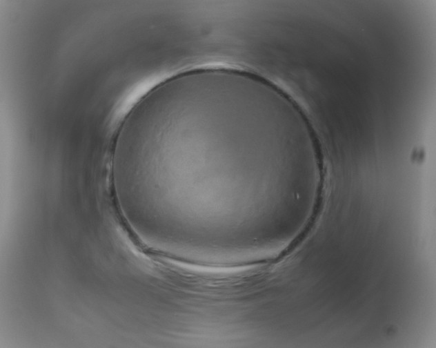 X0000113041367200908271455