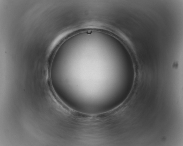 X0000113041368200908271455