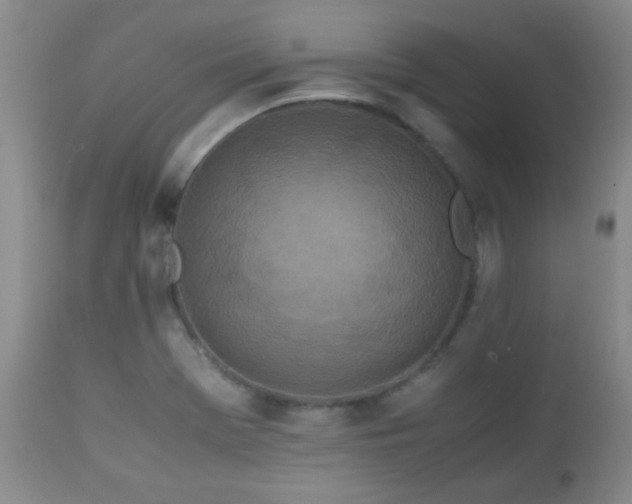 X0000113041369200908271455