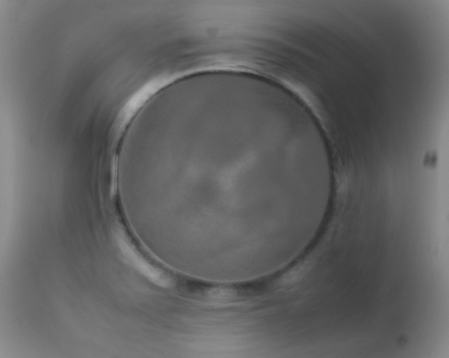 X0000113041371200908271455