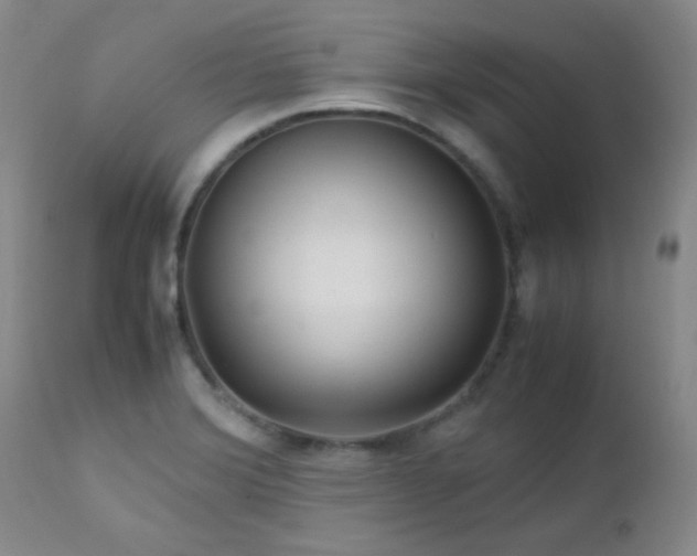 X0000113041372200908271455
