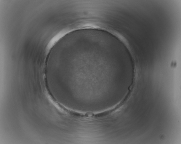 X0000113041373200908271455
