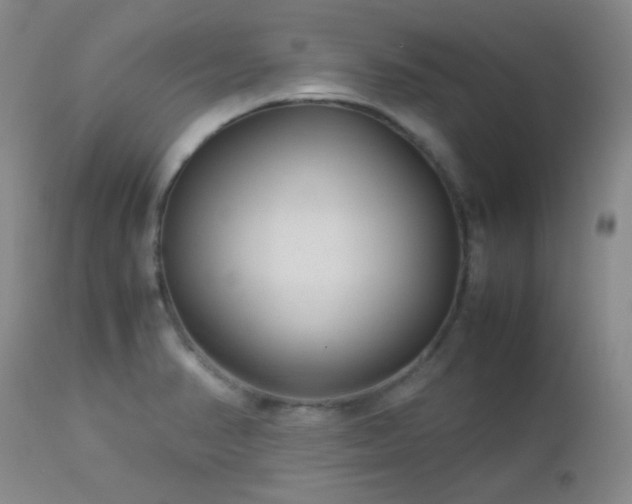 X0000113041374200908271455
