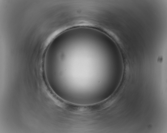 X0000113041375200908271455
