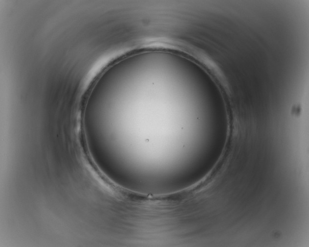 X0000113041376200908271455