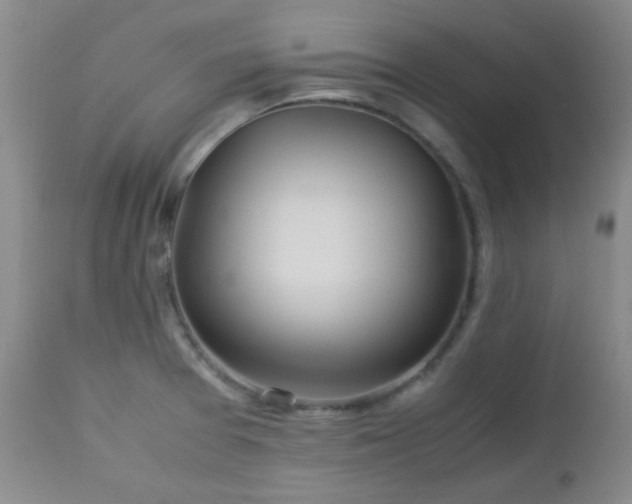 X0000113041377200908271455
