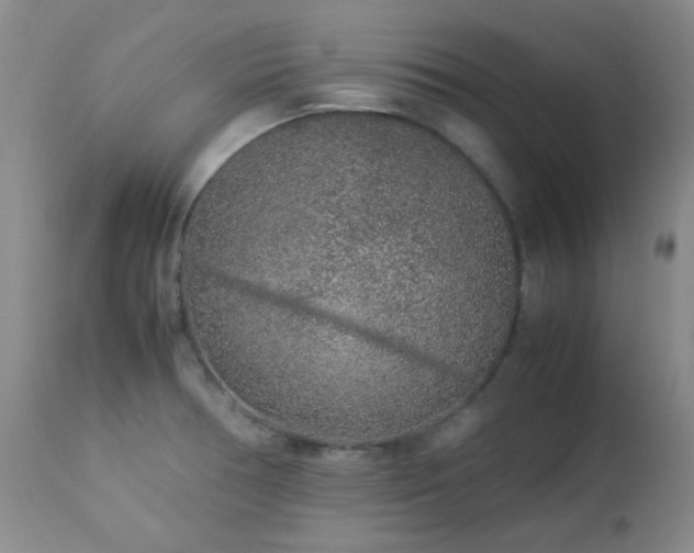 X0000113041378200908271455