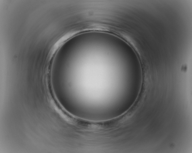 X0000113041379200908271455
